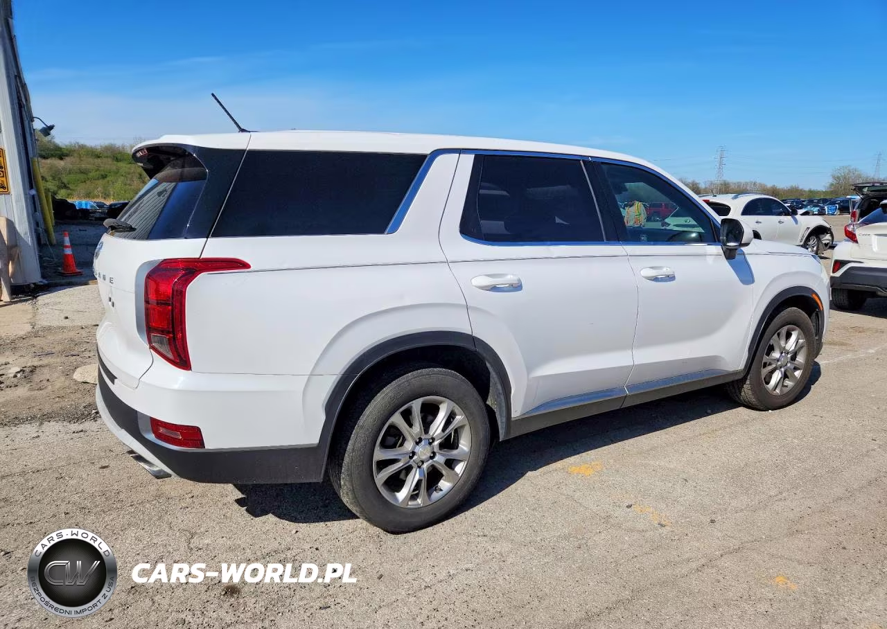 2020 Hyundai Palisade Se VIN:KM8R14HE4LU102728 - 3