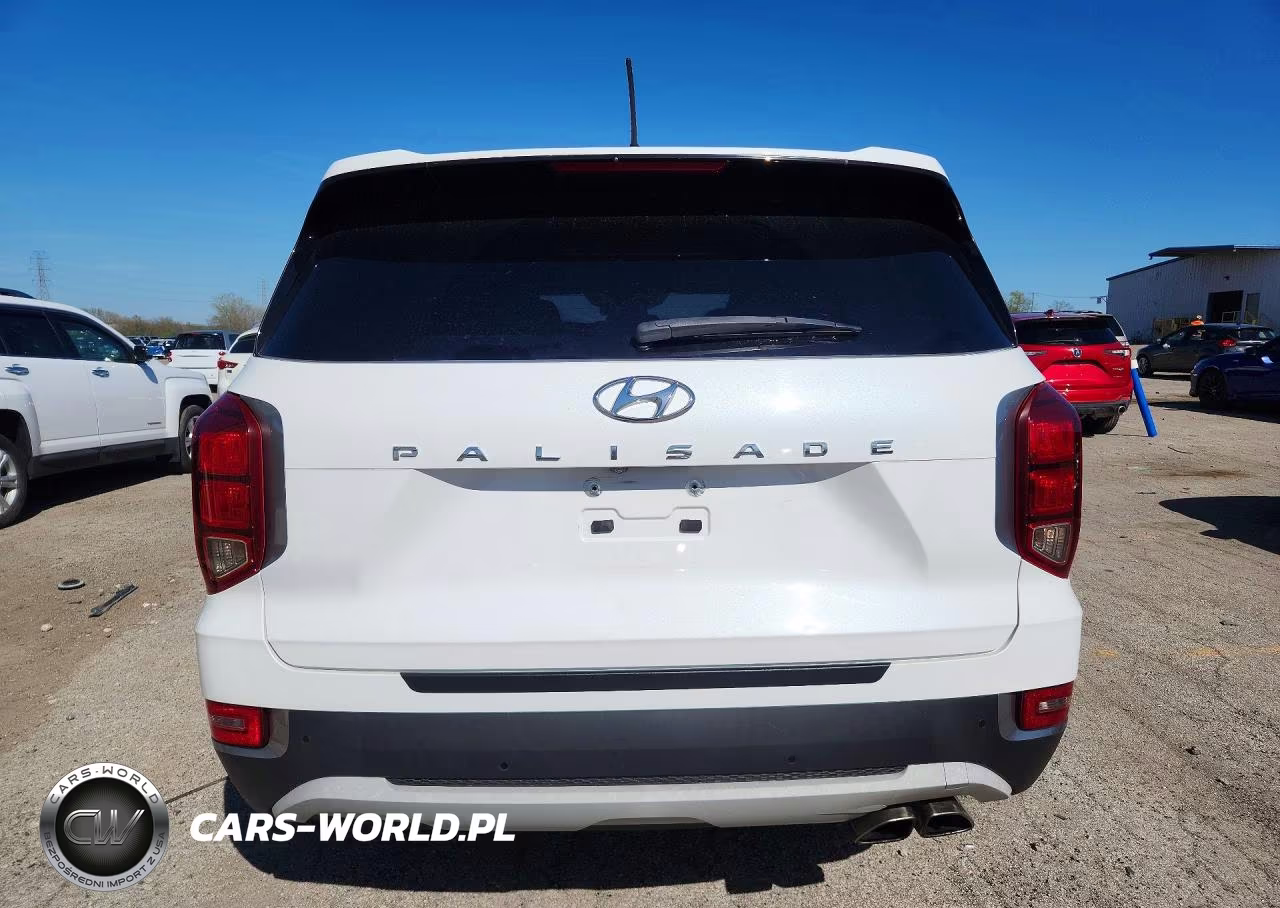 2020 Hyundai Palisade Se VIN:KM8R14HE4LU102728 - 6