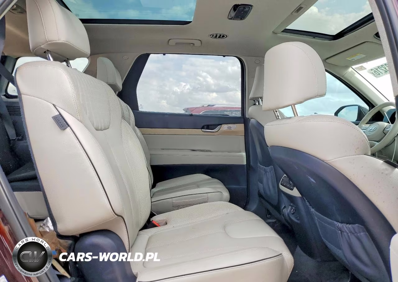 2023 Hyundai Palisade Limited VIN:KM8R54GE4PU525031 - 11