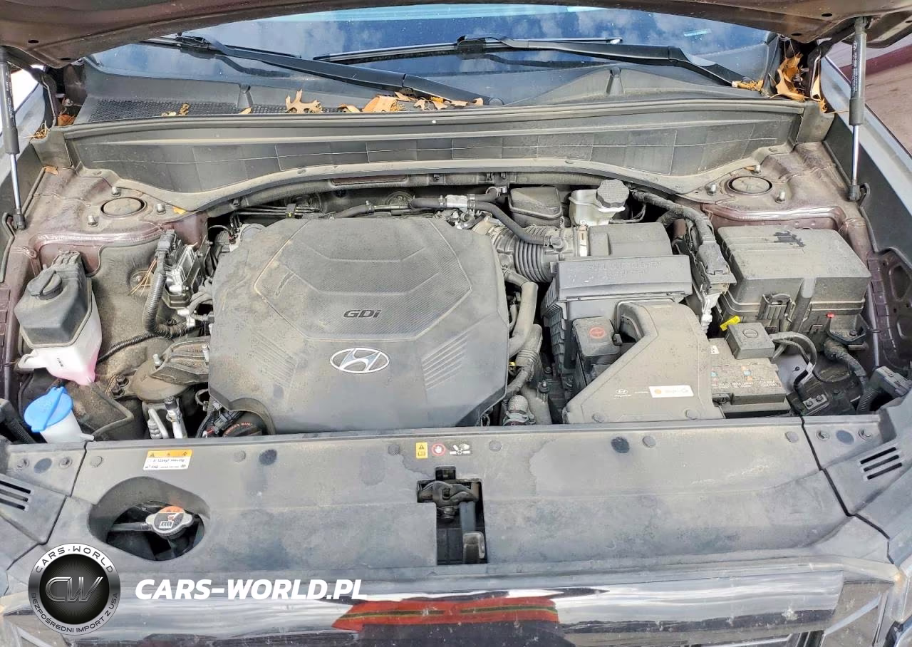2023 Hyundai Palisade Limited VIN:KM8R54GE4PU525031 - 12