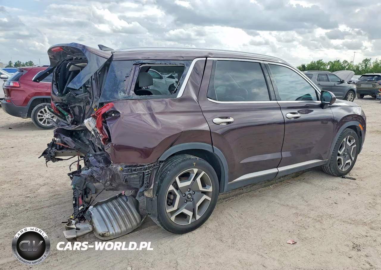 2023 Hyundai Palisade Limited VIN:KM8R54GE4PU525031 - 3