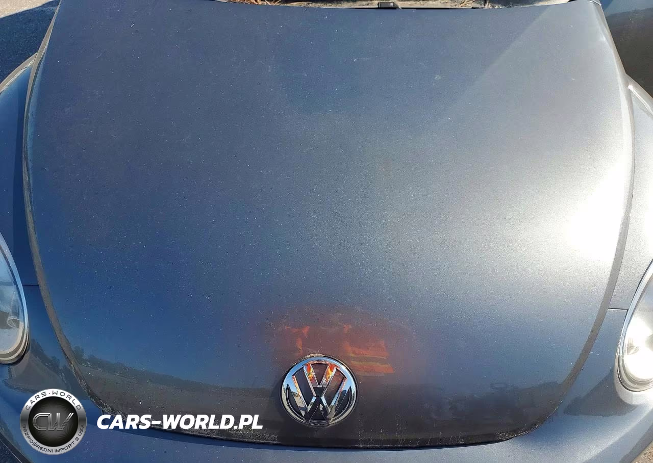 2017 Volkswagen Beetle 1.8T VIN:3VWF17ATXHM615704 - 11