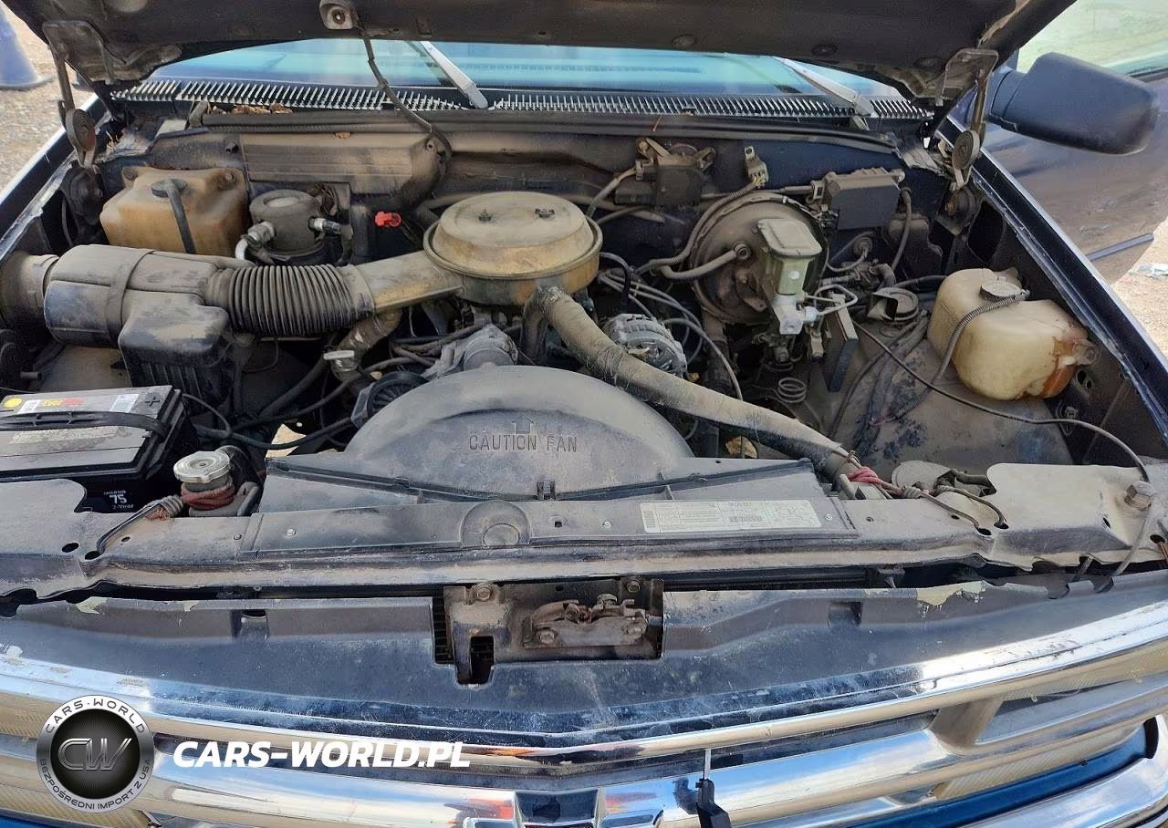 1994 Chevrolet Gmt-400 C1500 VIN:1GCDC14Z7RZ229856 - 11
