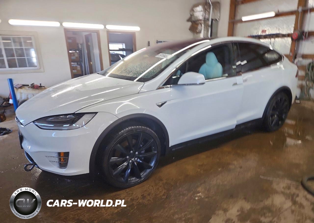 2020 Tesla Model X