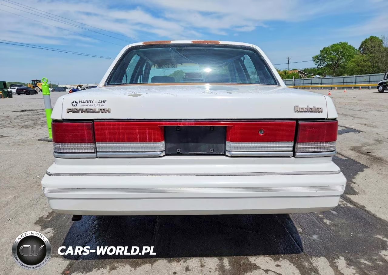 1994 Plymouth Acclaim VIN:3P3AA46K5RT321257 - 6