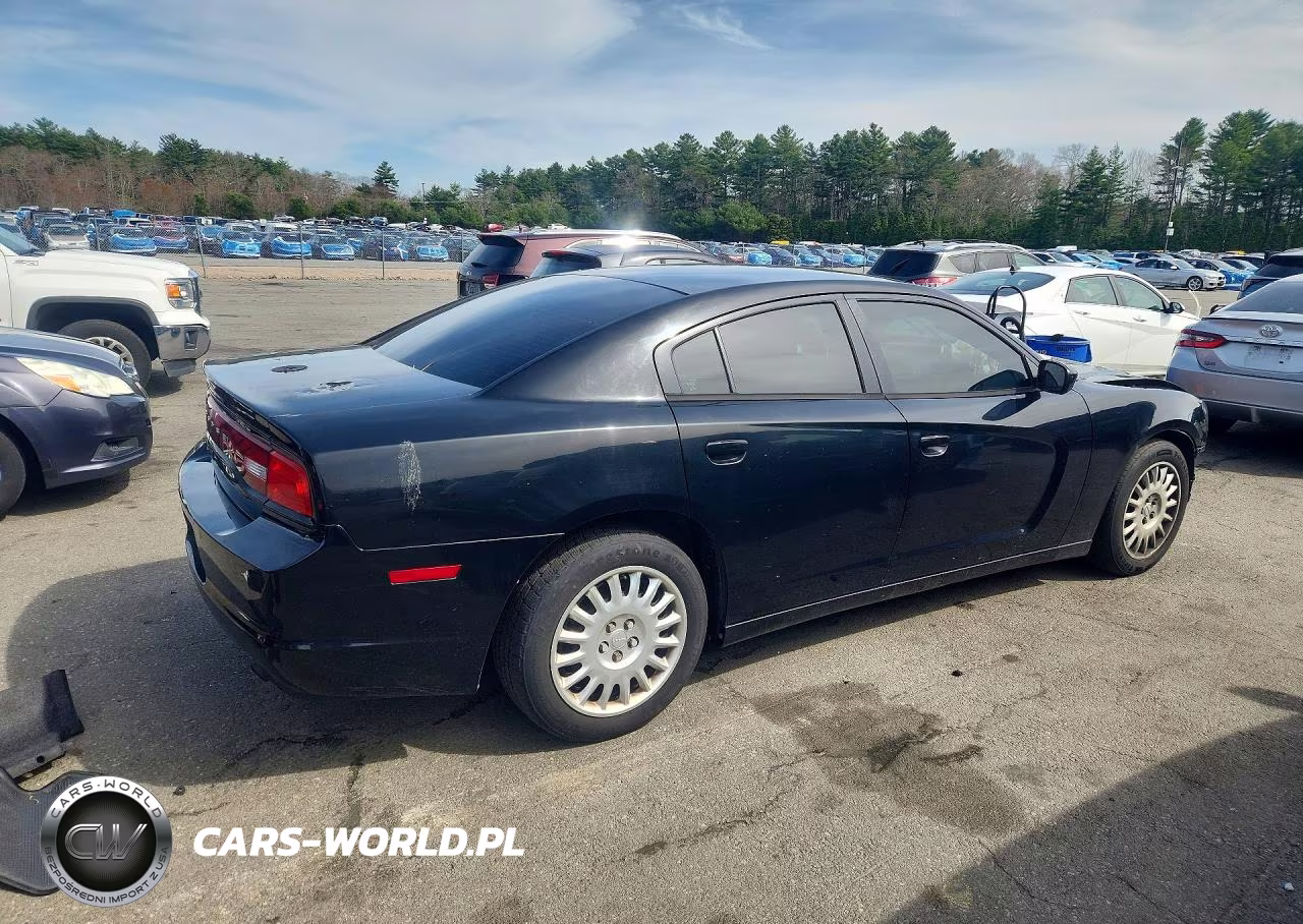 2014 Dodge Charger Police VIN:2C3CDXKT7EH319839 - 3
