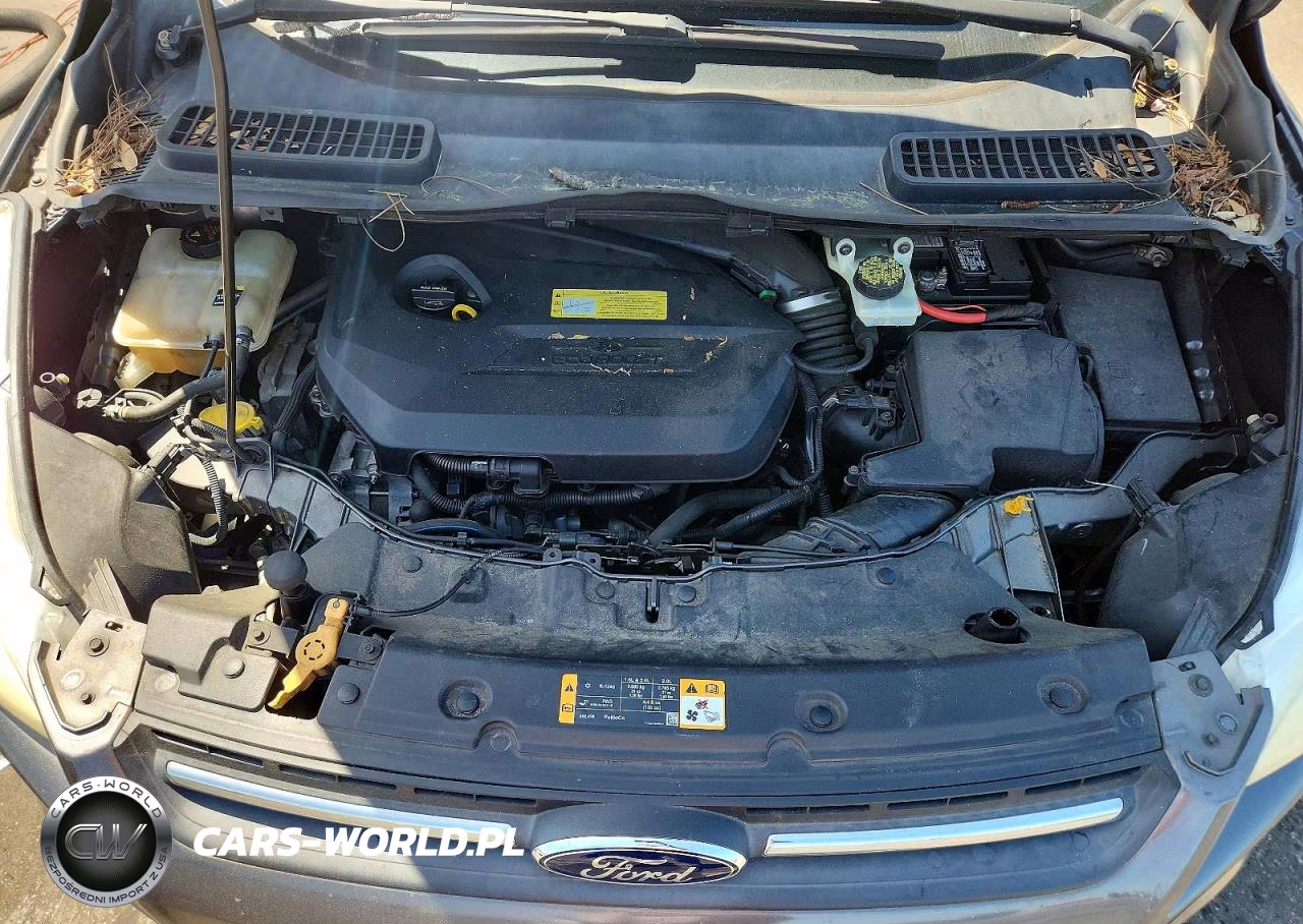 2013 Ford Escape Se VIN:1FMCU0GX0DUB60586 - 12