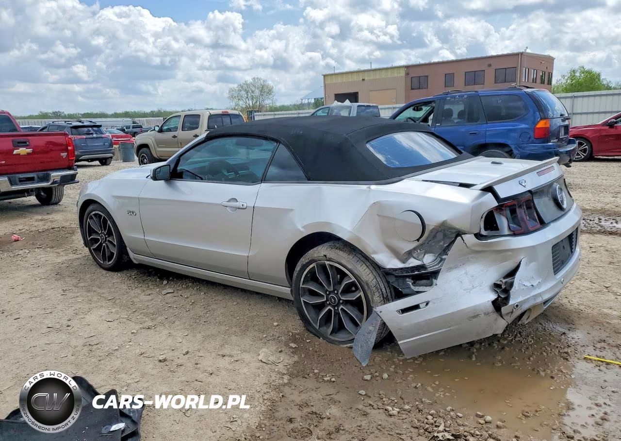2014 Ford Mustang Gt VIN:1ZVBP8FFXE5249962 - 2