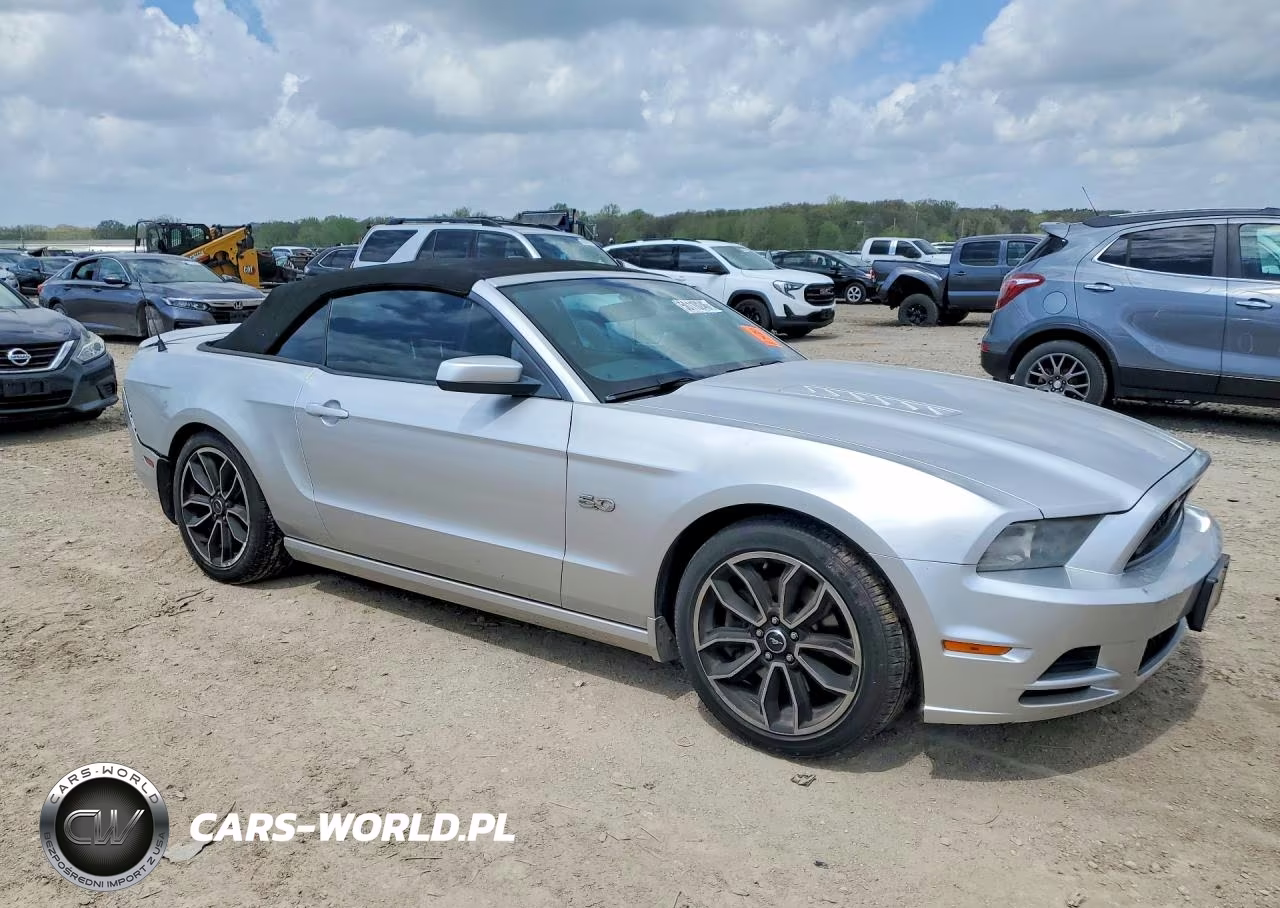2014 Ford Mustang Gt VIN:1ZVBP8FFXE5249962 - 4