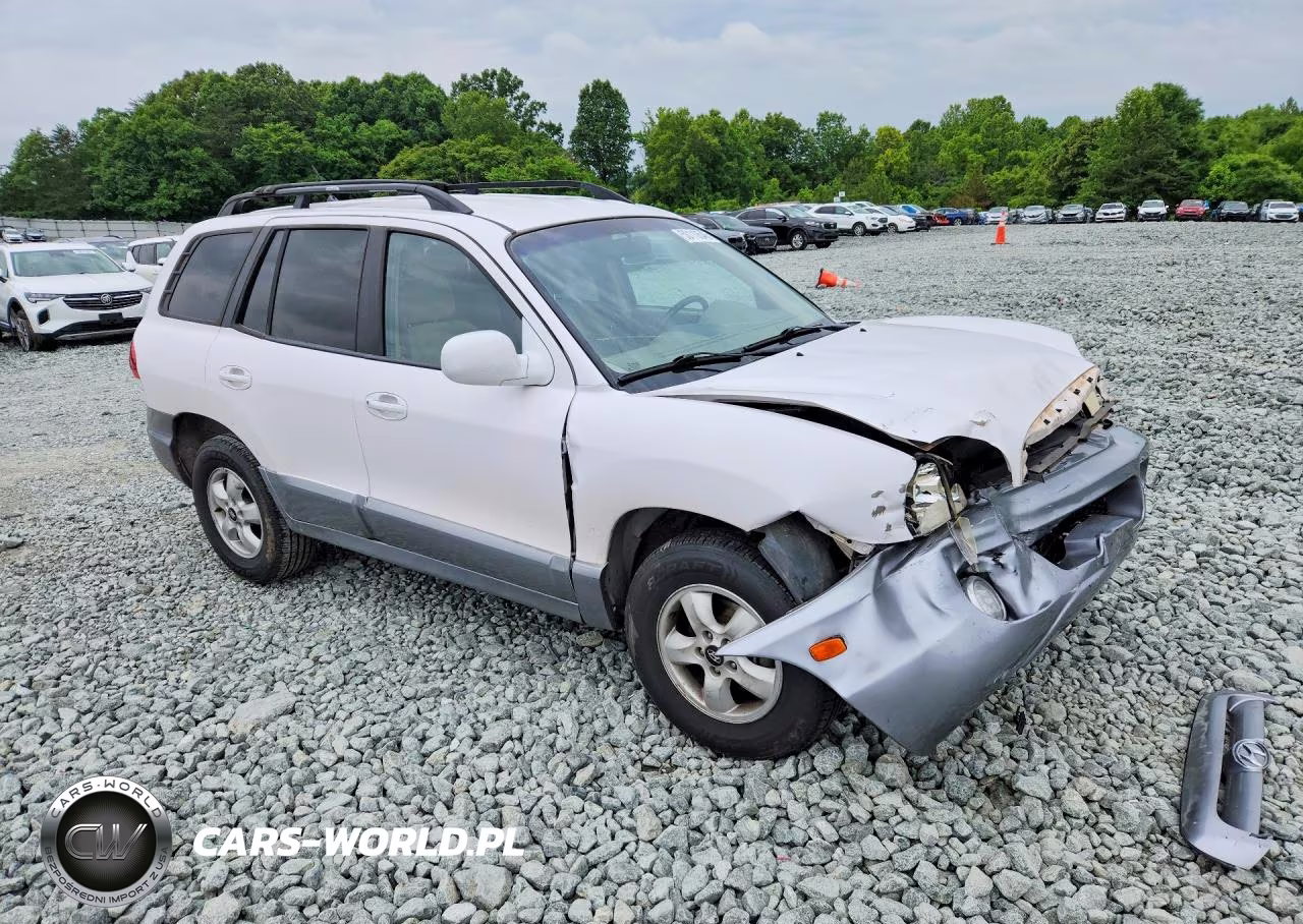 2006 Hyundai Santa Fe Gls VIN:KM8SC13D06U045313 - 4