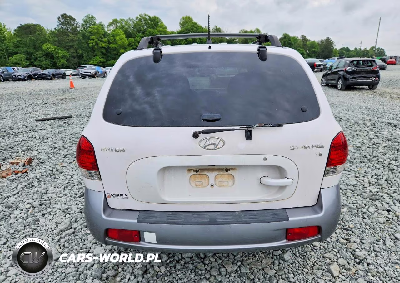 2006 Hyundai Santa Fe Gls VIN:KM8SC13D06U045313 - 6