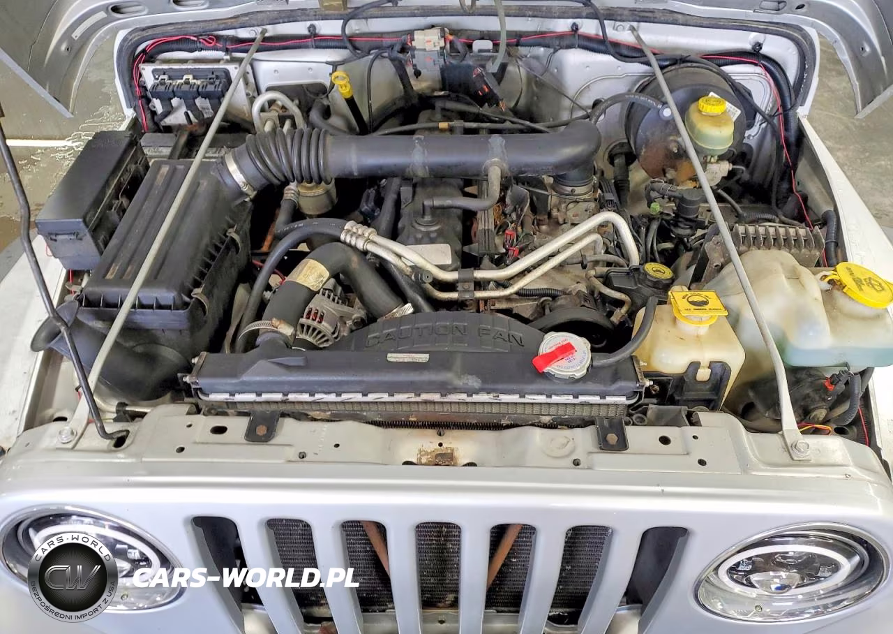 2003 Jeep Wrangler Commando VIN:1J4FA39SX3P374456 - 11