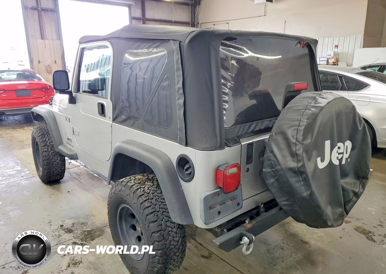 2003 Jeep Wrangler Commando VIN:1J4FA39SX3P374456 - 2