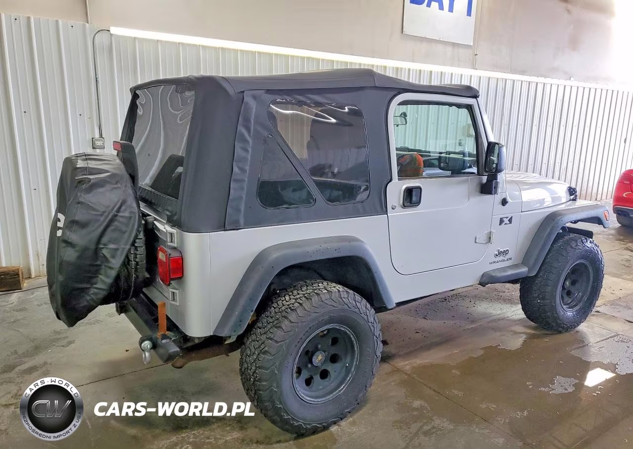 2003 Jeep Wrangler Commando VIN:1J4FA39SX3P374456 - 3