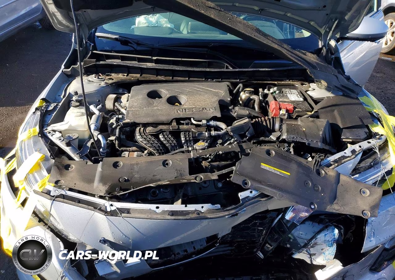 2019 Nissan Altima Platinum VIN:1N4BL4FW0KN300989 - 11