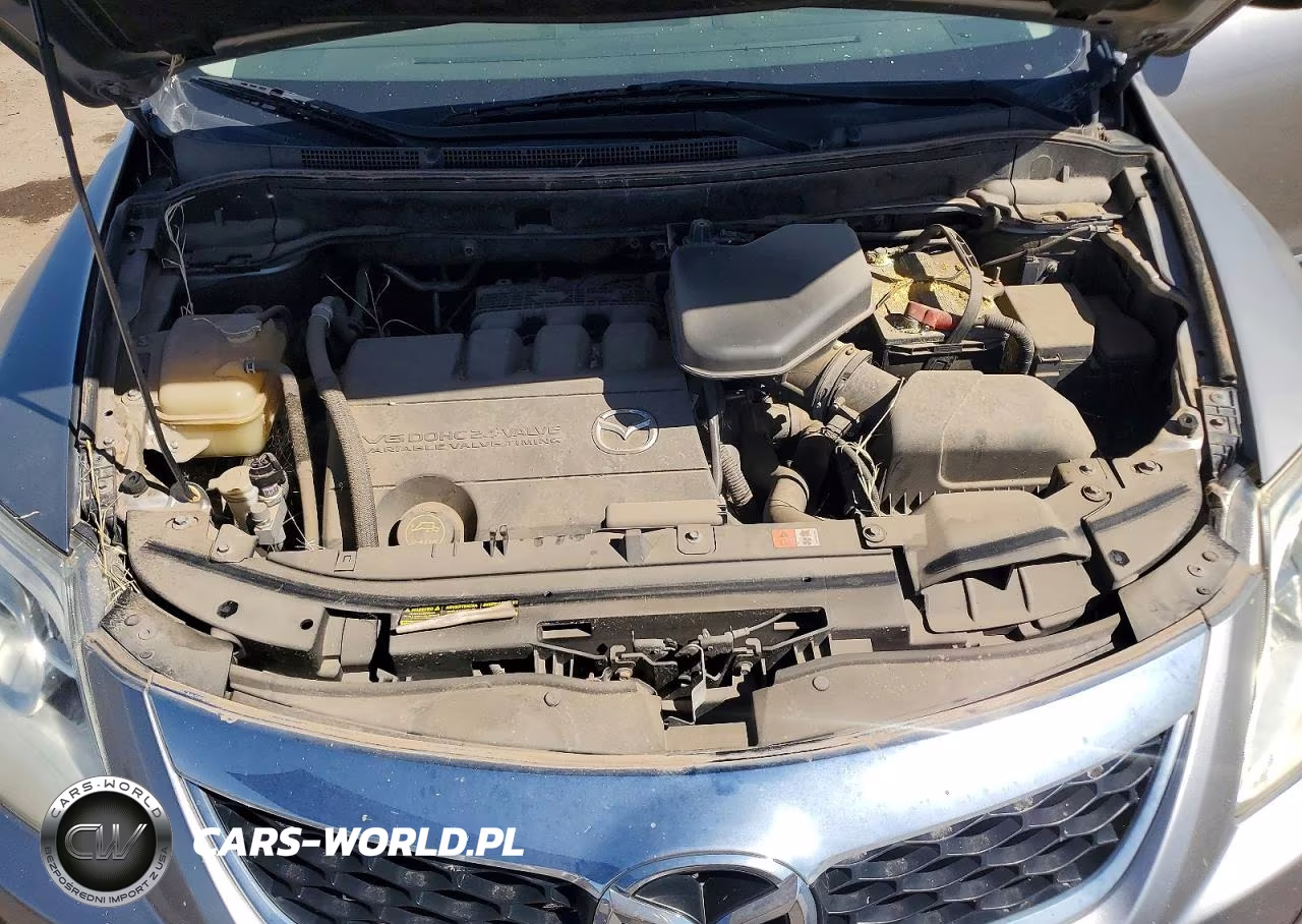 2010 Mazda Cx-9 VIN:JM3TB2MA8A0207718 - 11