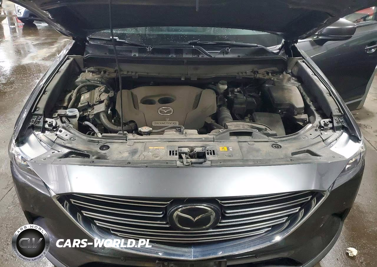 2020 Mazda Cx-9 Touring VIN:JM3TCBCY1L0415129 - 11