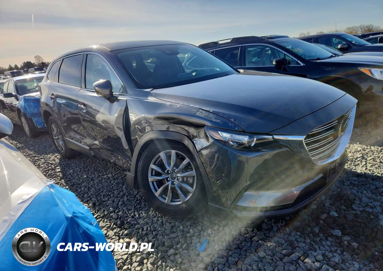 2020 Mazda Cx-9 Touring VIN:JM3TCBCY1L0415129 - 4