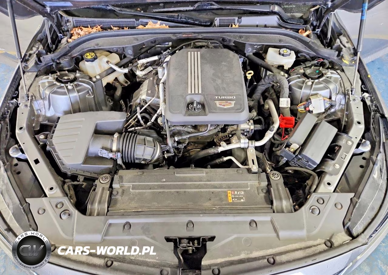 2020 Cadillac Ct5 Premium Luxury VIN:1G6DT5RK3L0153215 - 11
