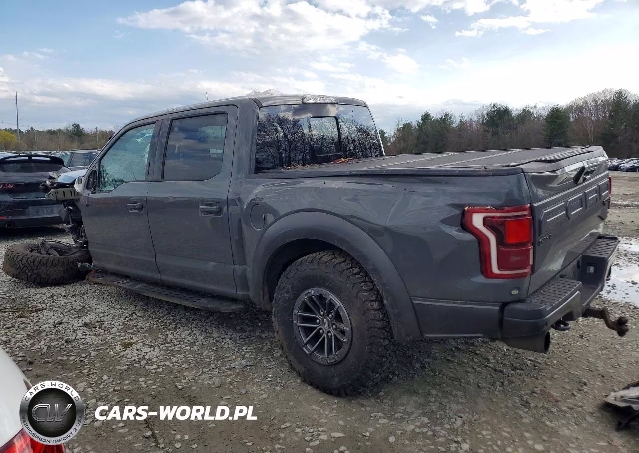 2020 Ford F150 Raptor VIN:1FTFW1RG9LFC70280 - 2