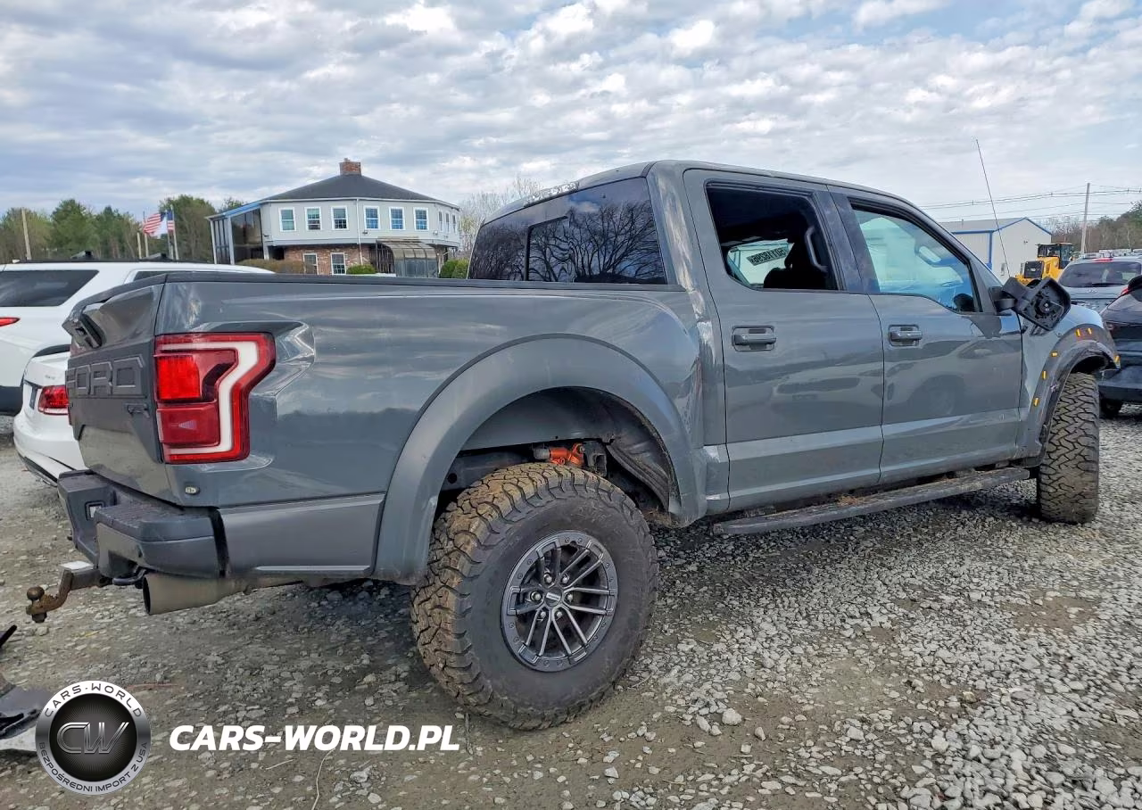 2020 Ford F150 Raptor VIN:1FTFW1RG9LFC70280 - 3