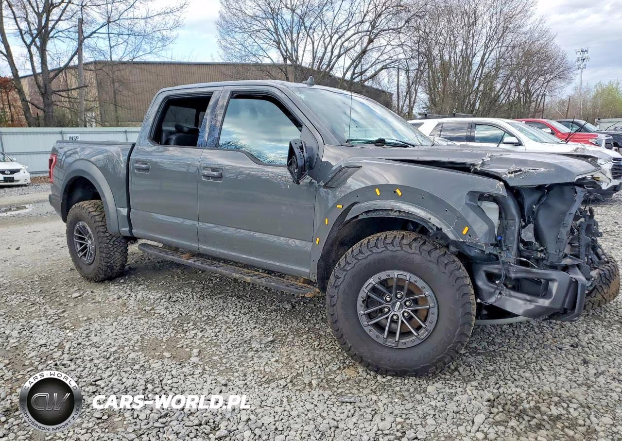 2020 Ford F150 Raptor VIN:1FTFW1RG9LFC70280 - 4