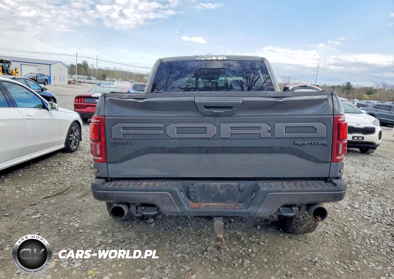 2020 Ford F150 Raptor VIN:1FTFW1RG9LFC70280 - 6