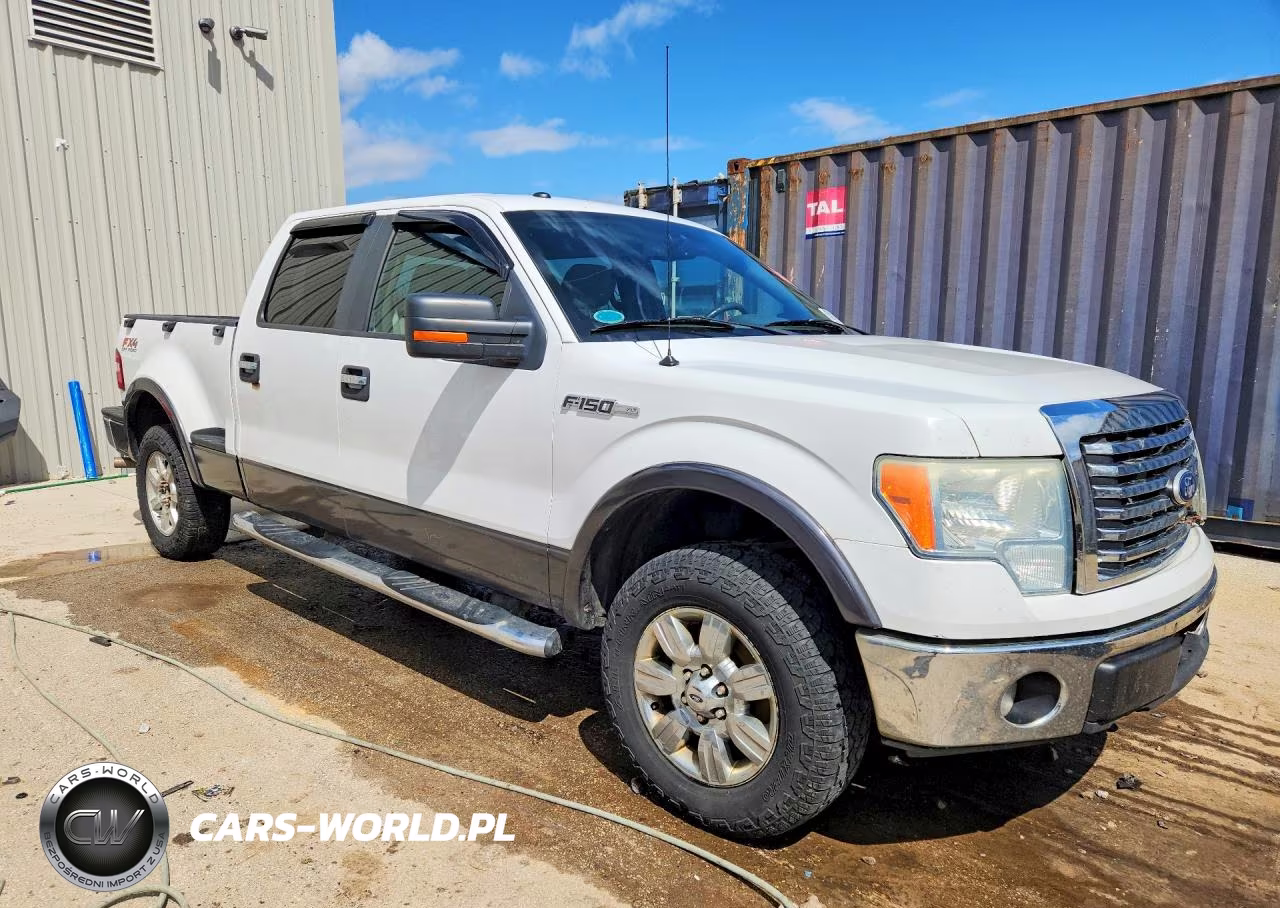 2010 Ford F150 Supercrew VIN:1FTFW1EV4AFA41359 - 4
