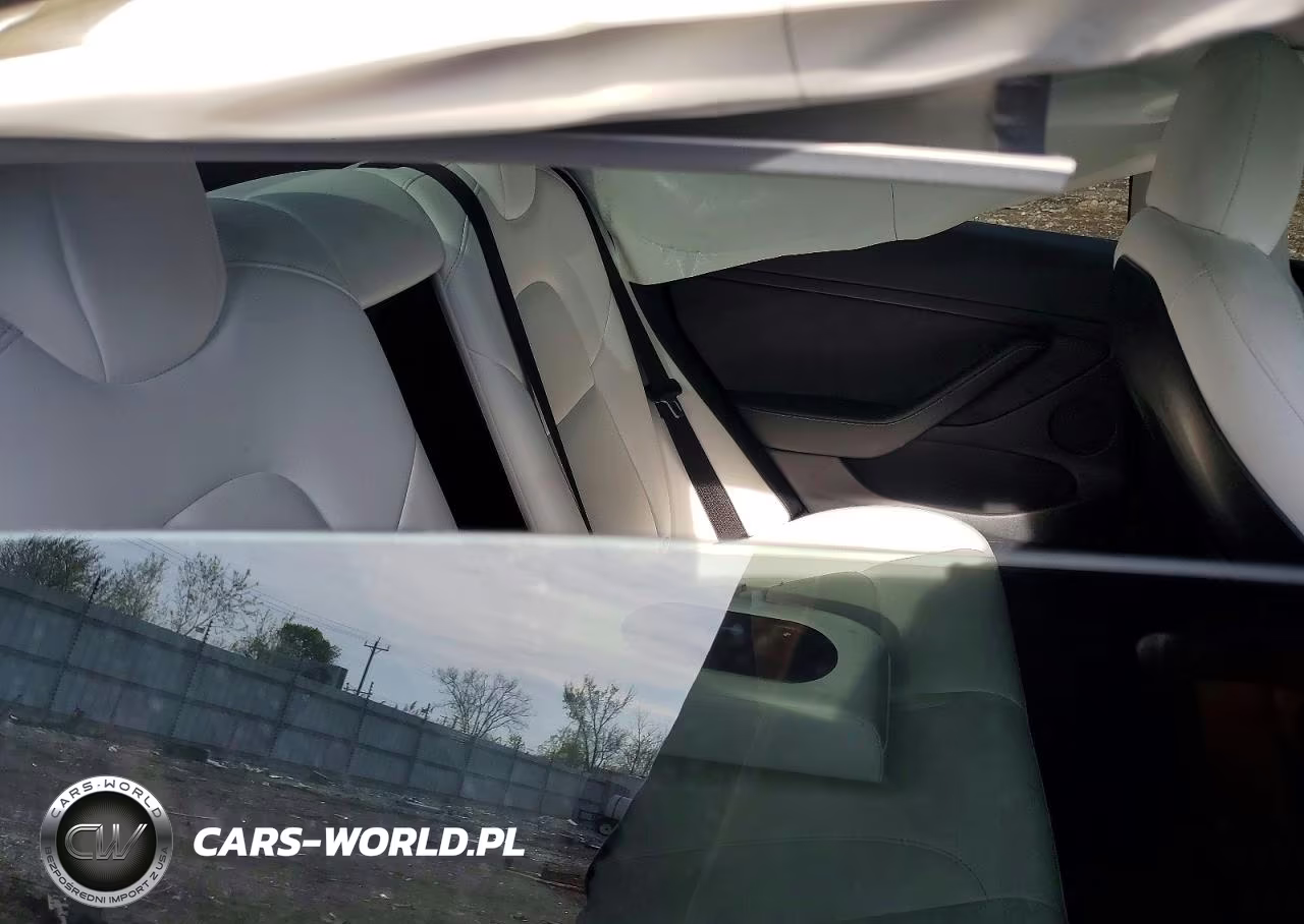 2021 Tesla Model 3 VIN:5YJ3E1EA5MF019088 - 10