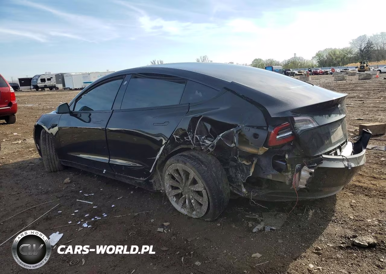 2021 Tesla Model 3 VIN:5YJ3E1EA5MF019088 - 2