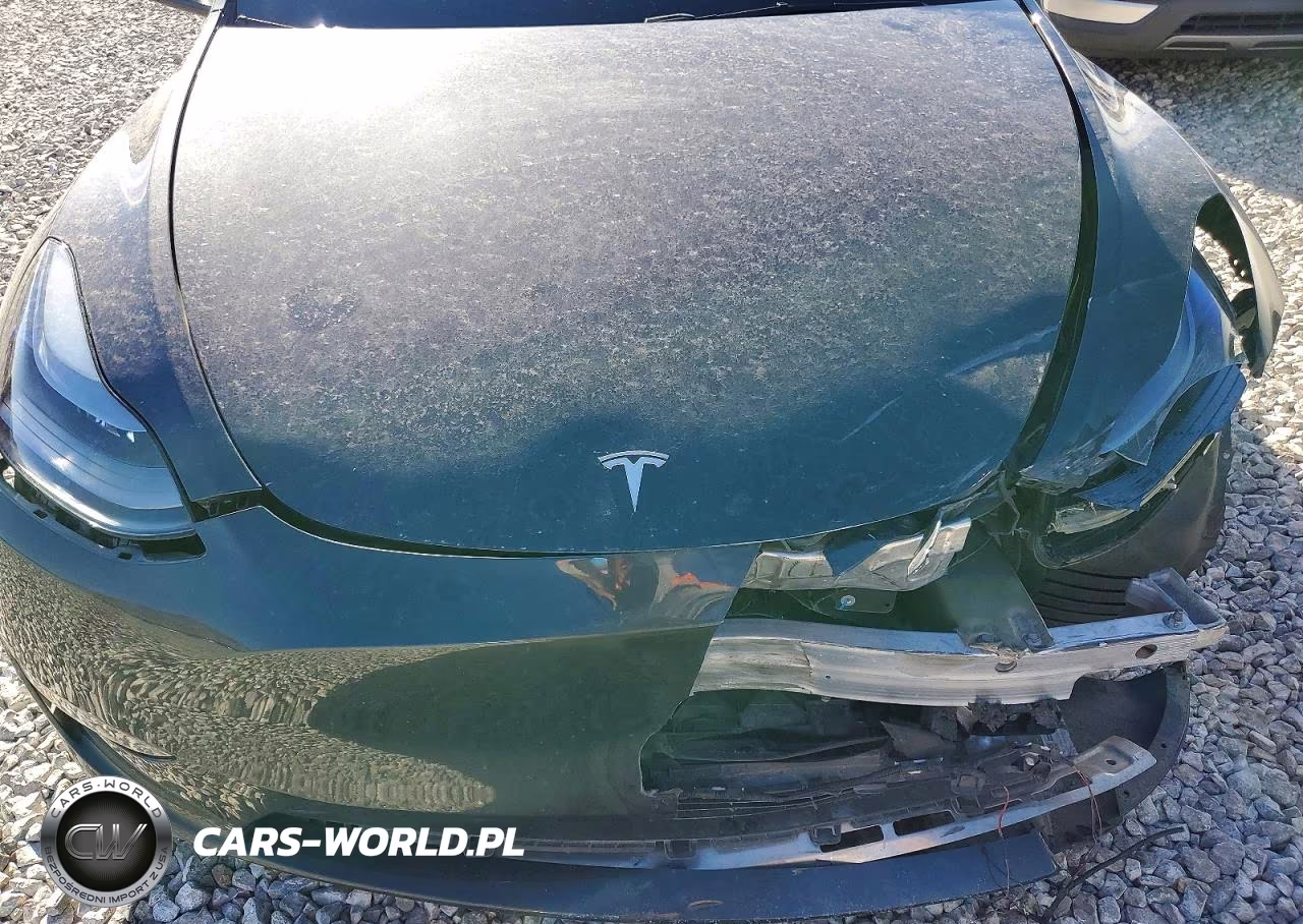 2025 Tesla Model Y Long Range Dual Motor Rear-Wheel Drive VIN:7SAYGDED6SF231266 - 11
