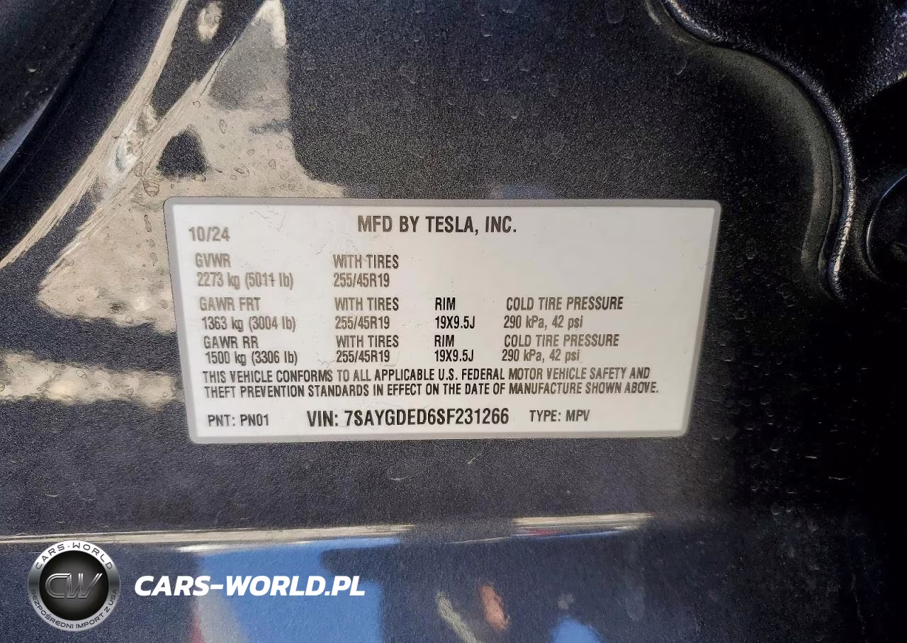 2025 Tesla Model Y Long Range Dual Motor Rear-Wheel Drive VIN:7SAYGDED6SF231266 - 12