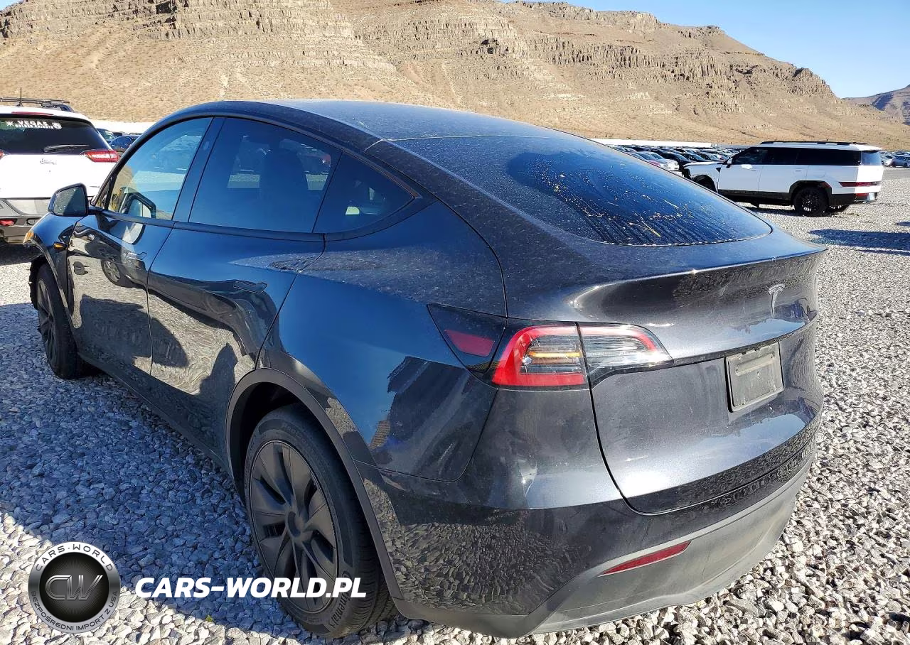 2025 Tesla Model Y Long Range Dual Motor Rear-Wheel Drive VIN:7SAYGDED6SF231266 - 2