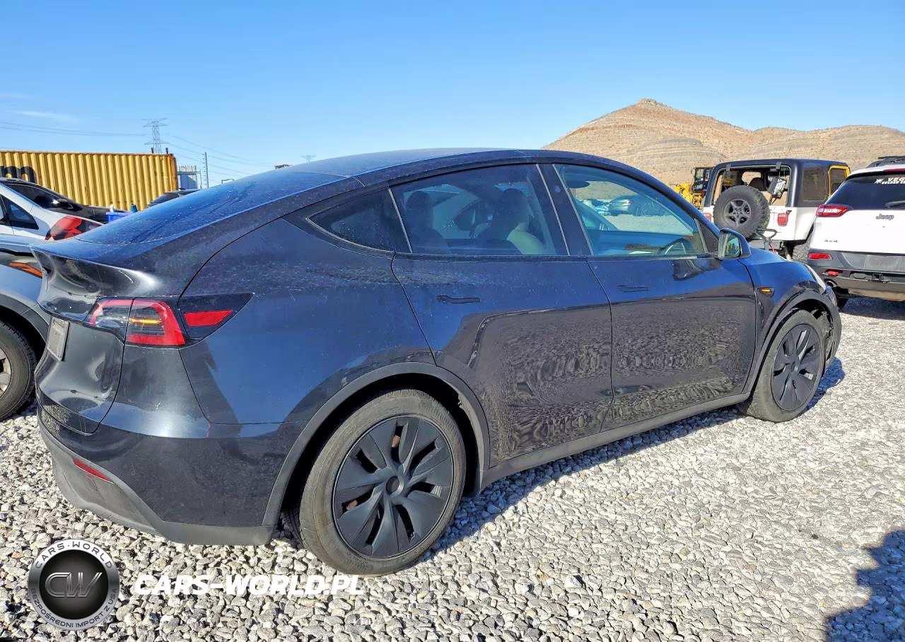 2025 Tesla Model Y Long Range Dual Motor Rear-Wheel Drive VIN:7SAYGDED6SF231266 - 3
