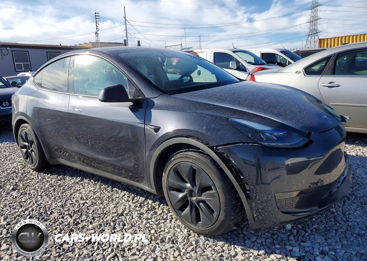 2025 Tesla Model Y Long Range Dual Motor Rear-Wheel Drive VIN:7SAYGDED6SF231266 - 4