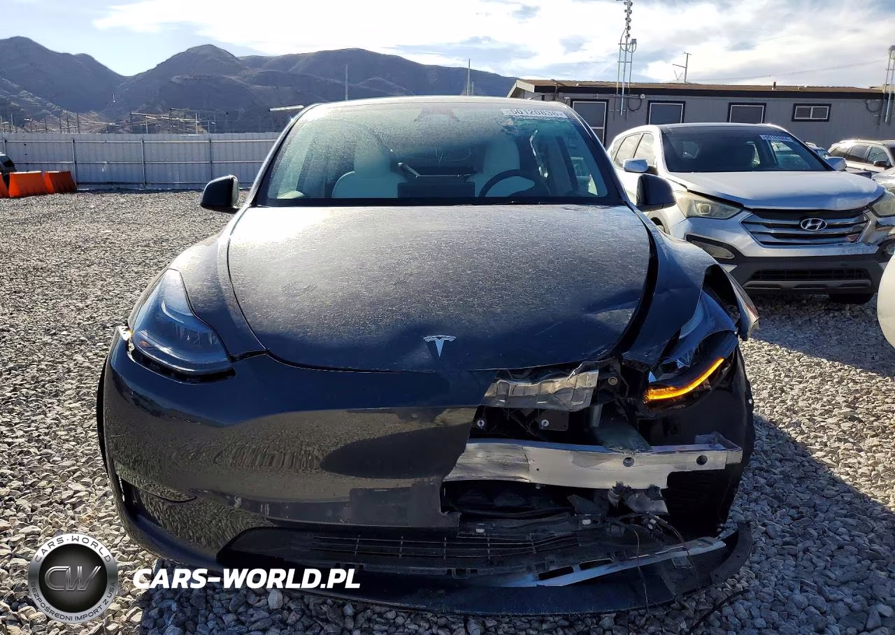 2025 Tesla Model Y Long Range Dual Motor Rear-Wheel Drive VIN:7SAYGDED6SF231266 - 5