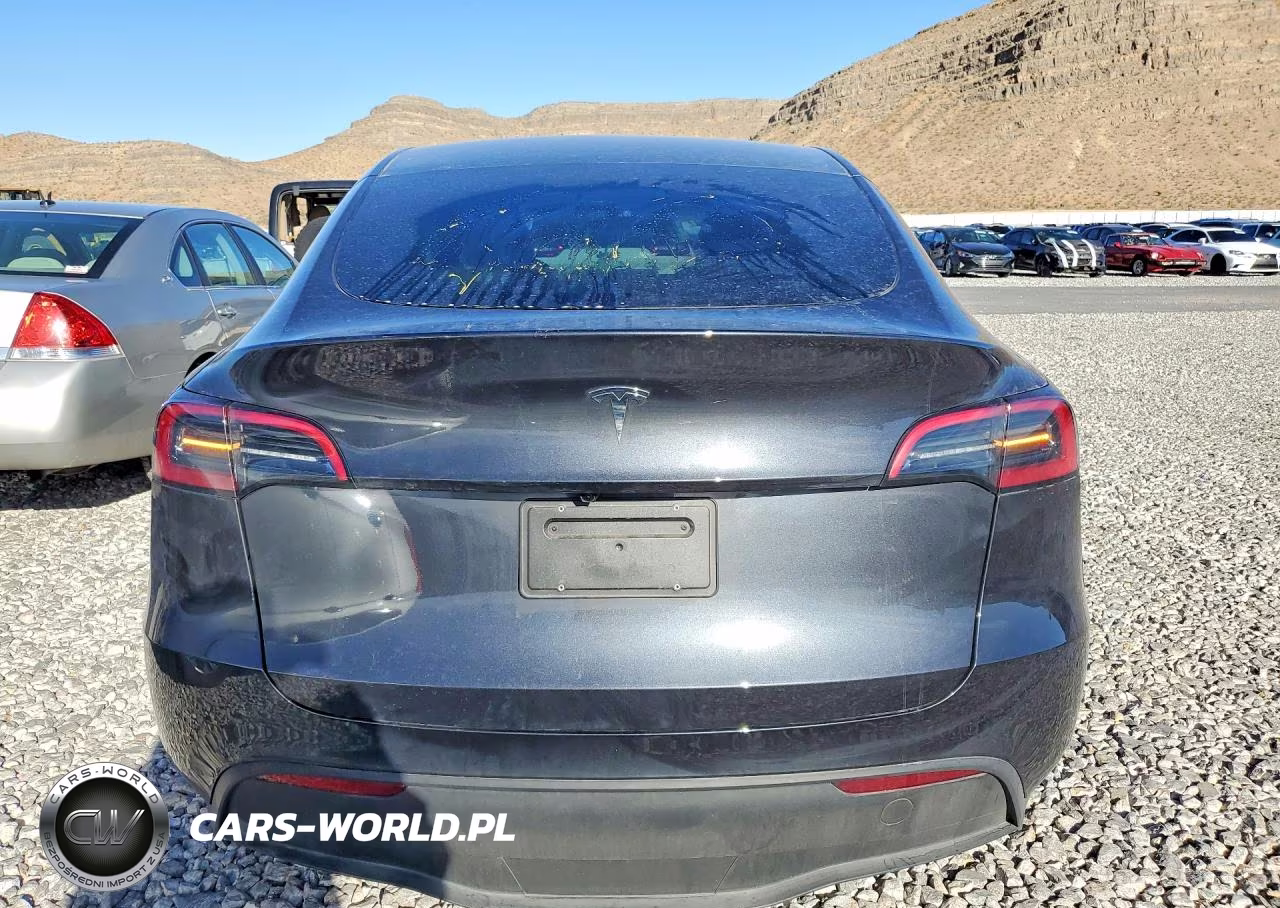 2025 Tesla Model Y Long Range Dual Motor Rear-Wheel Drive VIN:7SAYGDED6SF231266 - 6