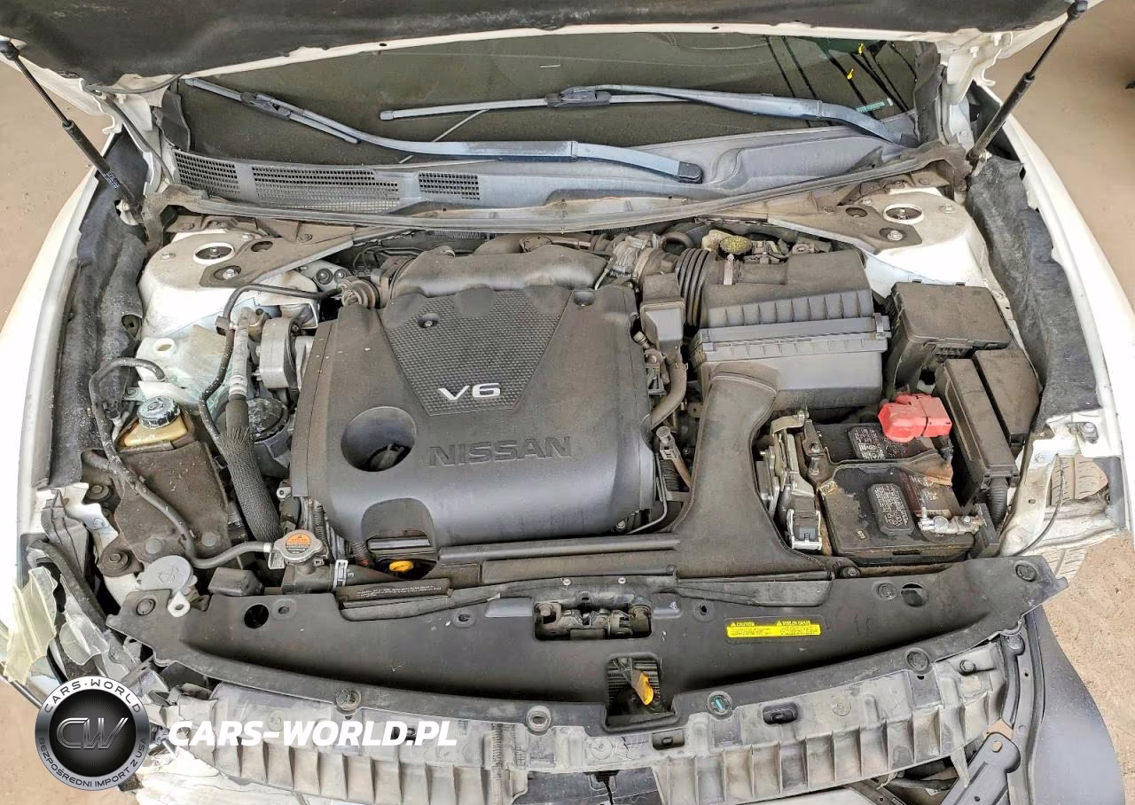 2016 Nissan Maxima Platinum VIN:1N4AA6AP3GC417546 - 11