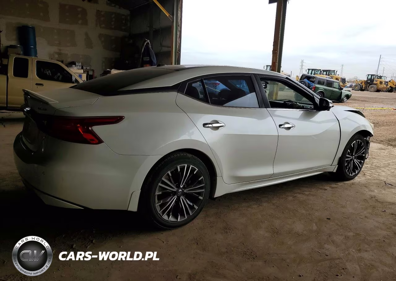 2016 Nissan Maxima Platinum VIN:1N4AA6AP3GC417546 - 3