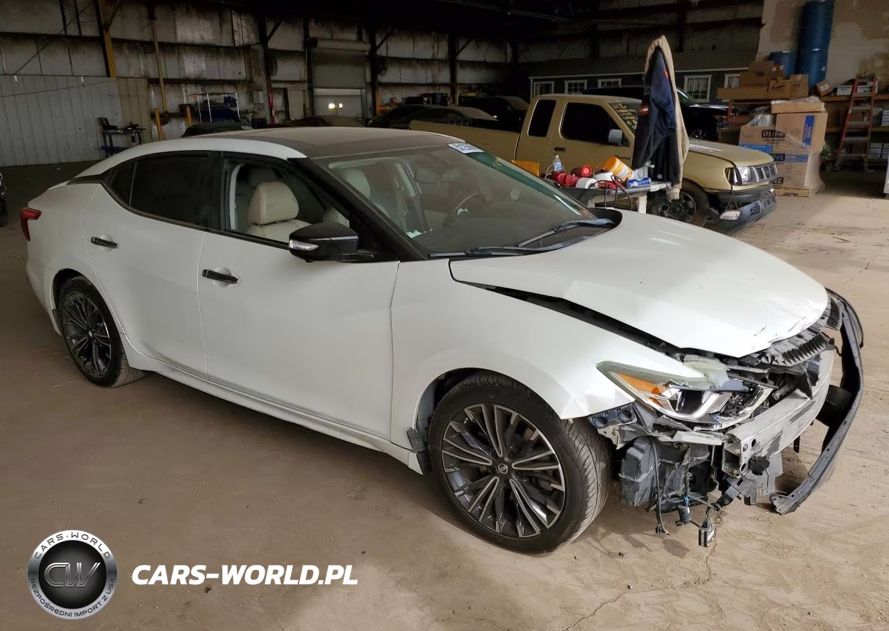 2016 Nissan Maxima Platinum VIN:1N4AA6AP3GC417546 - 4