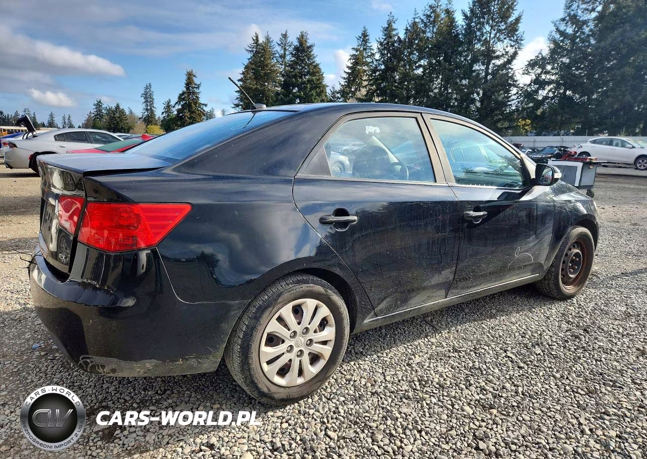 2010 Kia Forte Ex VIN:KNAFU4A2XA5123621 - 3
