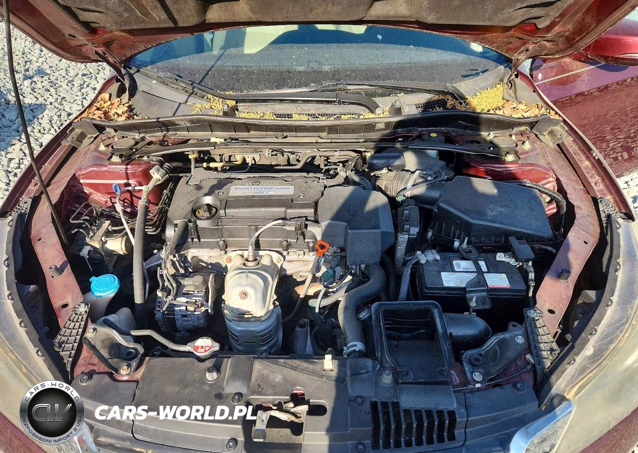 2013 Honda Accord Exl VIN:1HGCR2F85DA119241 - 11