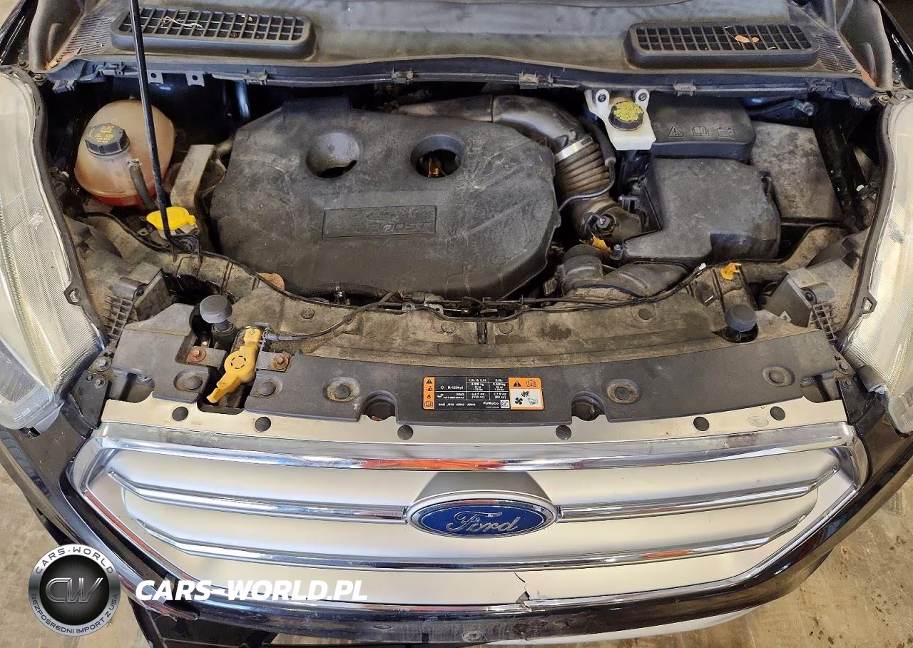 2017 Ford Escape Se VIN:1FMCU9G91HUA12409 - 11