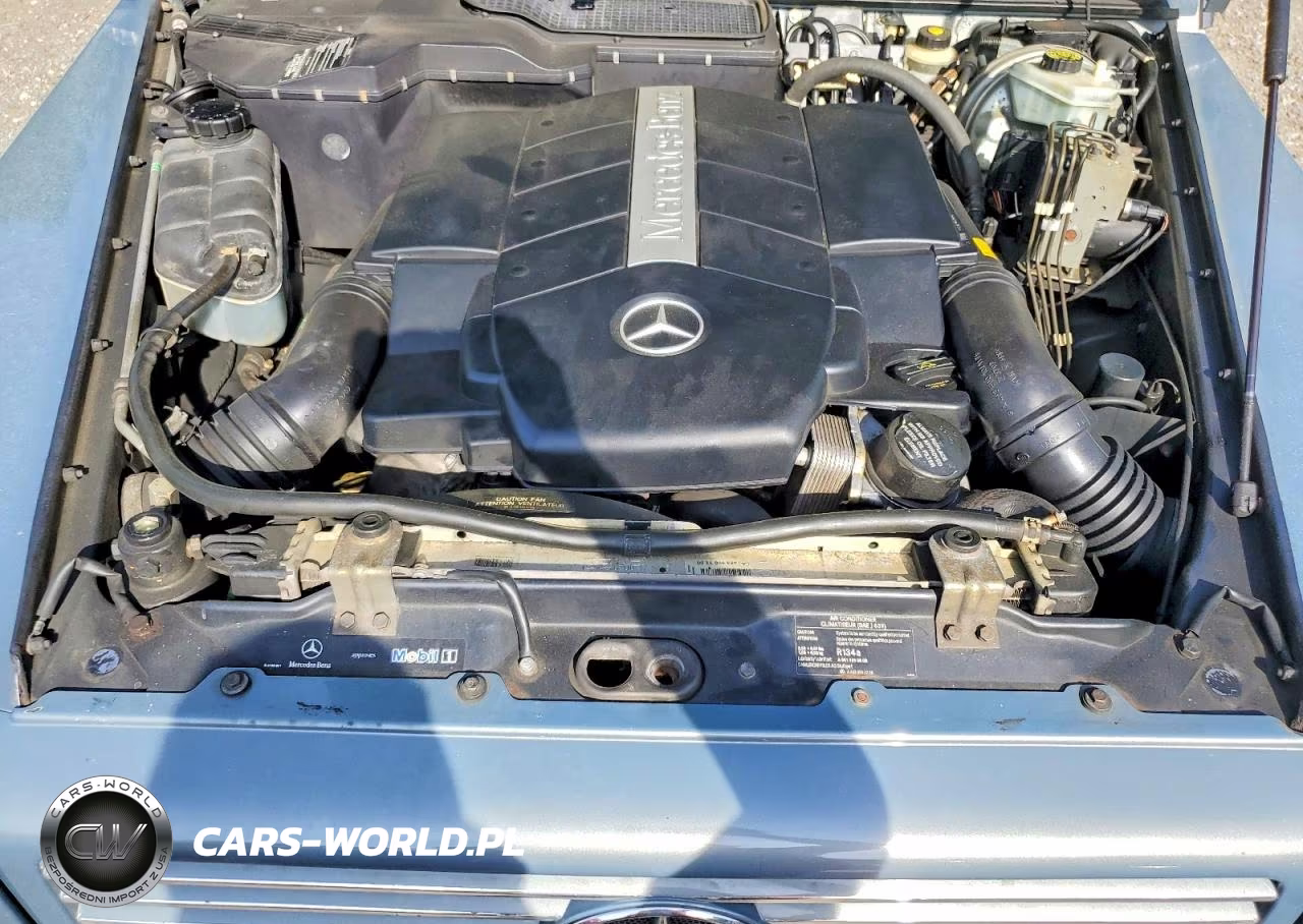 2006 Mercedes-Benz G 500 VIN:WDCYR49E56X165843 - 11