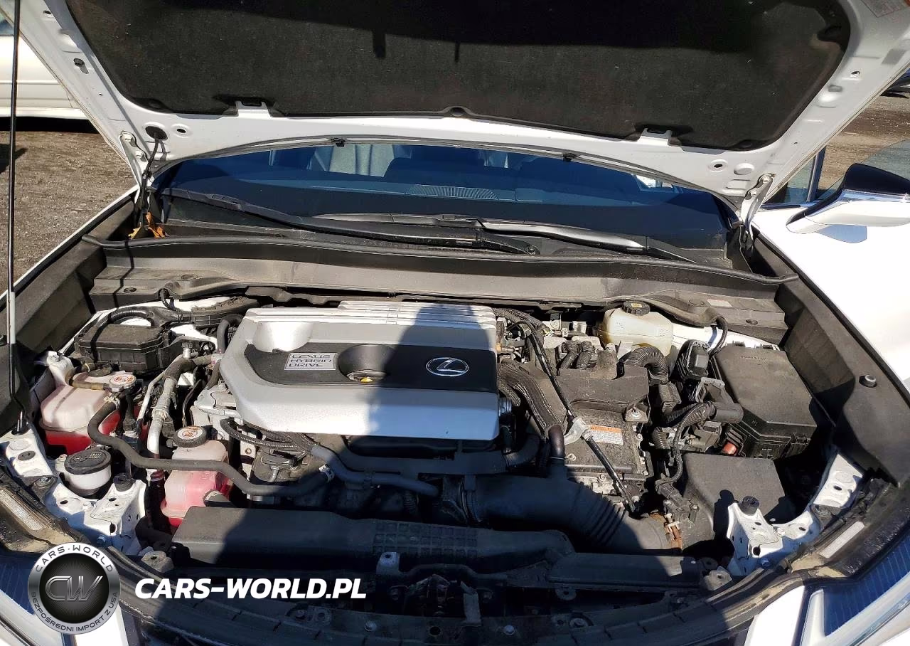 2021 Lexus Ux 250H VIN:JTHR9JBH9M2040723 - 12