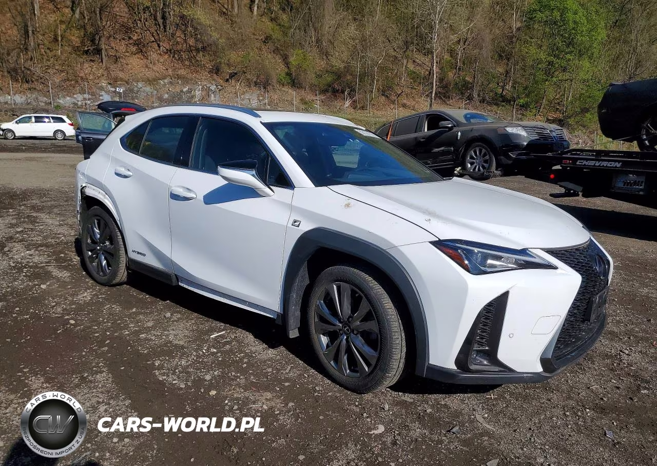 2021 Lexus Ux 250H VIN:JTHR9JBH9M2040723 - 4