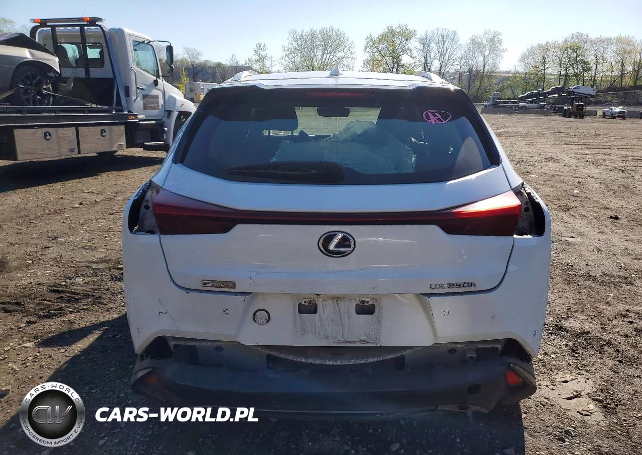 2021 Lexus Ux 250H VIN:JTHR9JBH9M2040723 - 6