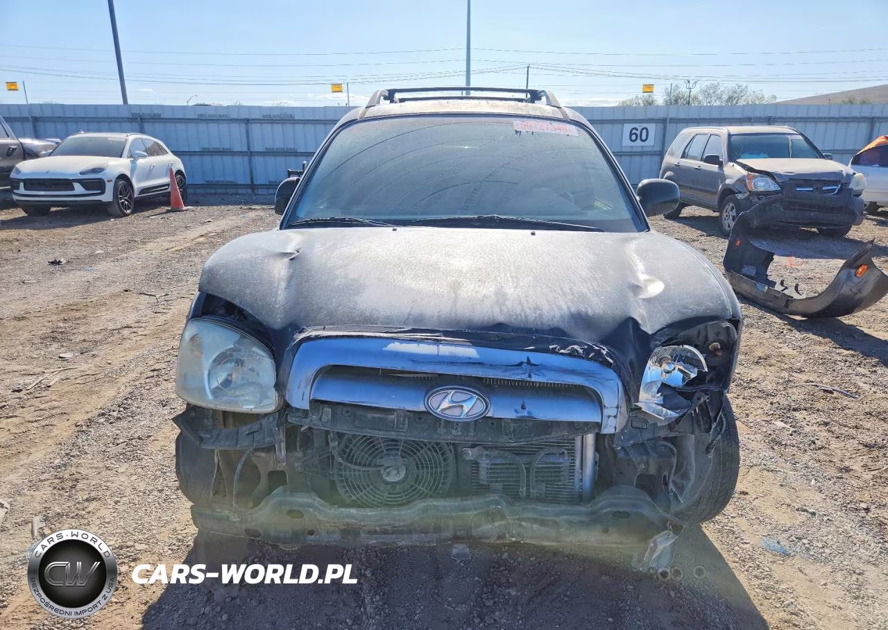 2006 Hyundai Santa Fe Gls VIN:KM8SC13D16U072665 - 5