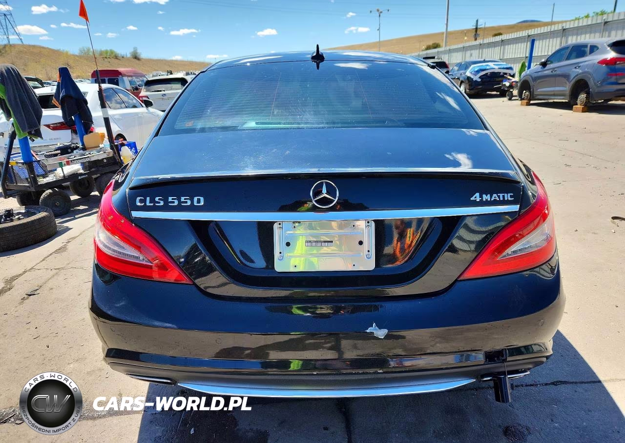 2013 Mercedes-Benz Cls 550 4Matic VIN:WDDLJ9BBXDA064484 - 6