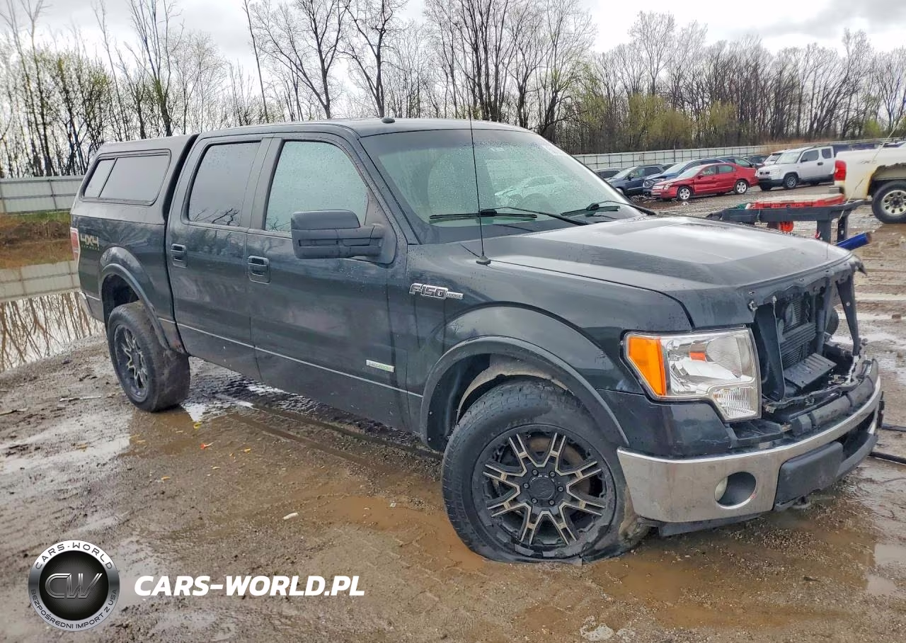 2011 Ford F150 Supercrew VIN:1FTFW1ET8BFA58813 - 4